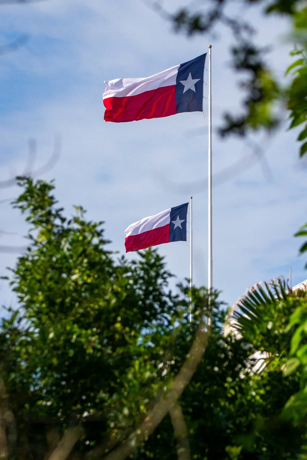 Two Texas flags flying over the trees